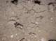 imgp7160_small.jpg