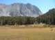 imgp7162_small.jpg