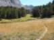 imgp7163_small.jpg
