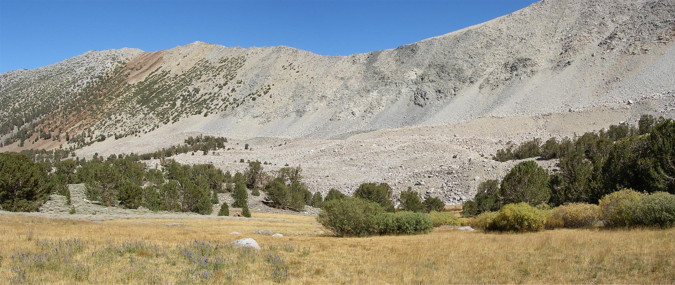 imgp7165m.jpg