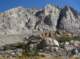 imgp7169_small.jpg