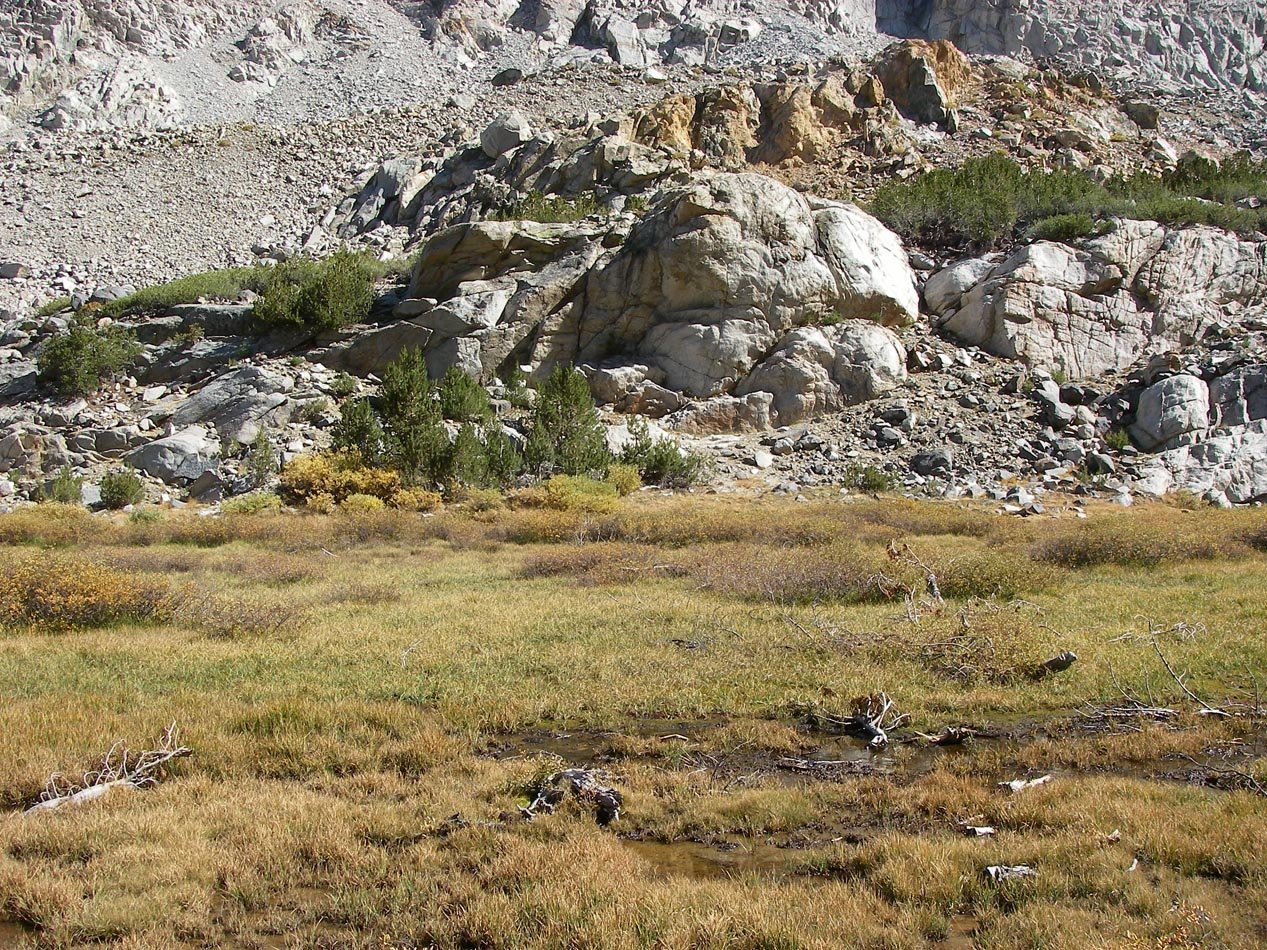 imgp7170.jpg