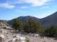 imgp7175_small.jpg