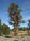 imgp7211_small.jpg