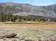 imgp7213_small.jpg