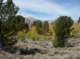 imgp7215_small.jpg