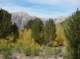 imgp7216_small.jpg