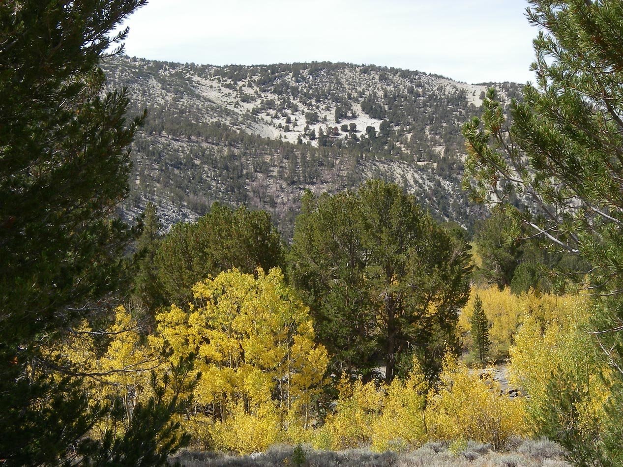 imgp7217.jpg