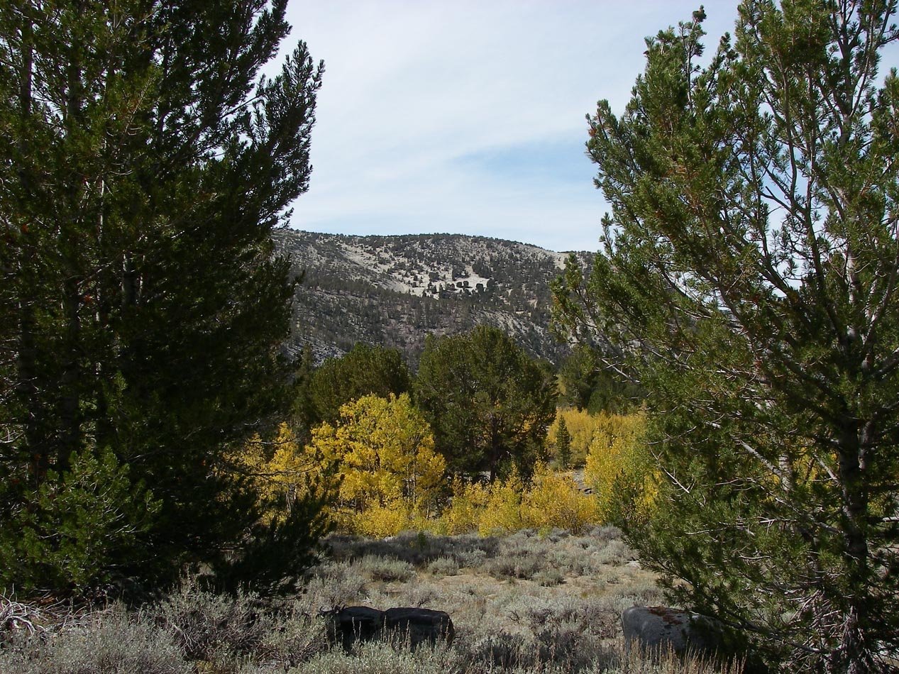 imgp7218.jpg