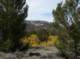 imgp7218_small.jpg