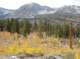 imgp7222_small.jpg