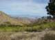 imgp7242_small.jpg