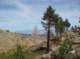 imgp7244_small.jpg