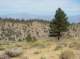 imgp7245_small.jpg