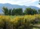 imgp7246_small.jpg