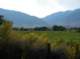 imgp7248_small.jpg