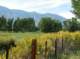 imgp7249_small.jpg
