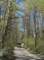 imgp7710_small.jpg
