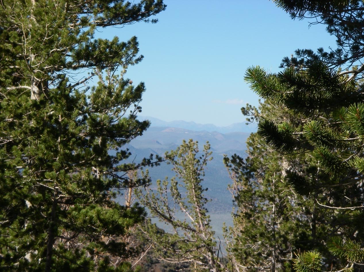 imgp7711.jpg