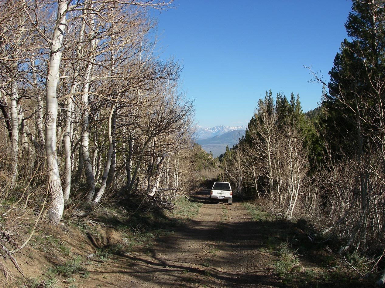 imgp7724.jpg