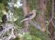 imgp7731_small.jpg