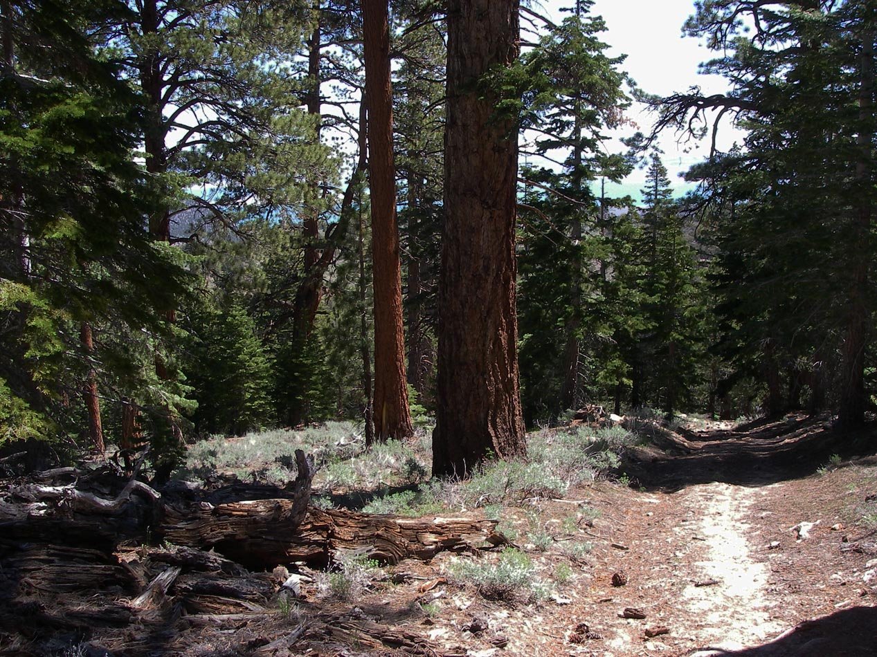 imgp7732.jpg