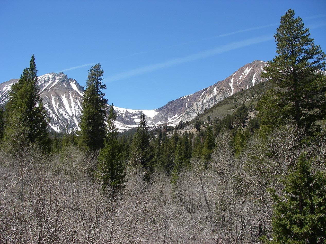 imgp7735.jpg