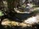imgp7738_small.jpg