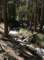 imgp7739_small.jpg