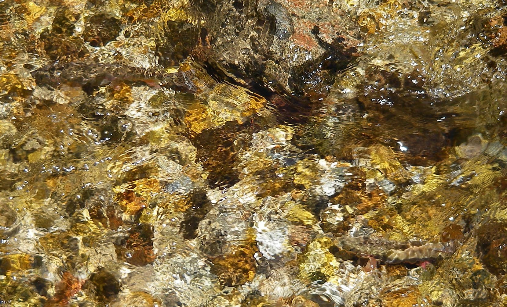 imgp7747.jpg