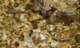 imgp7747_small.jpg