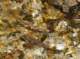 imgp7752_small.jpg