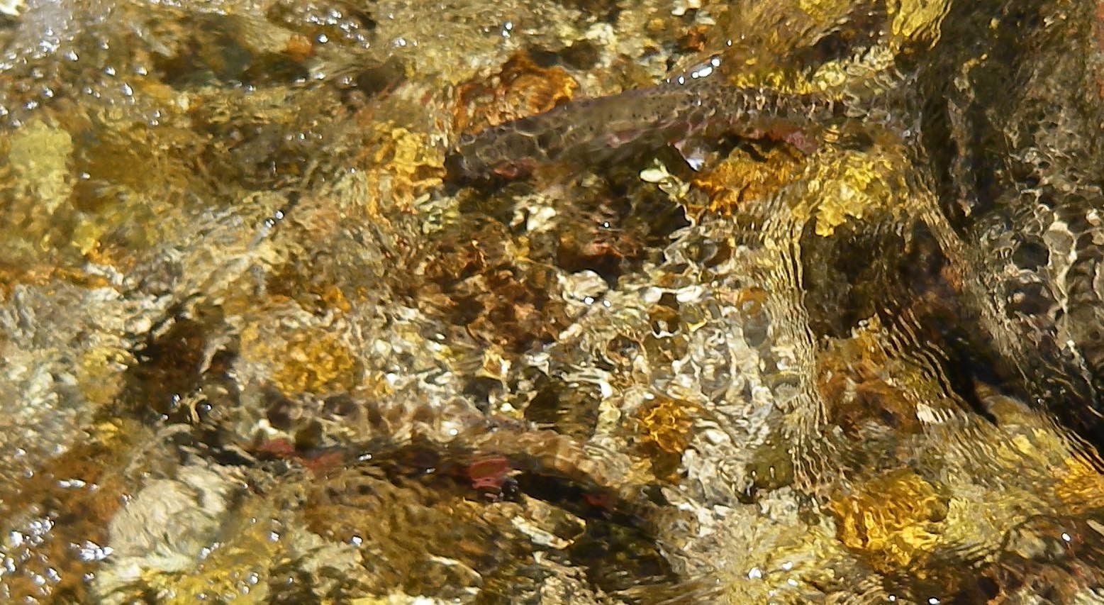 imgp7753.jpg