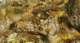 imgp7753_small.jpg