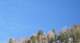 imgp7758_small.jpg