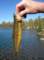imgp7764_small.jpg