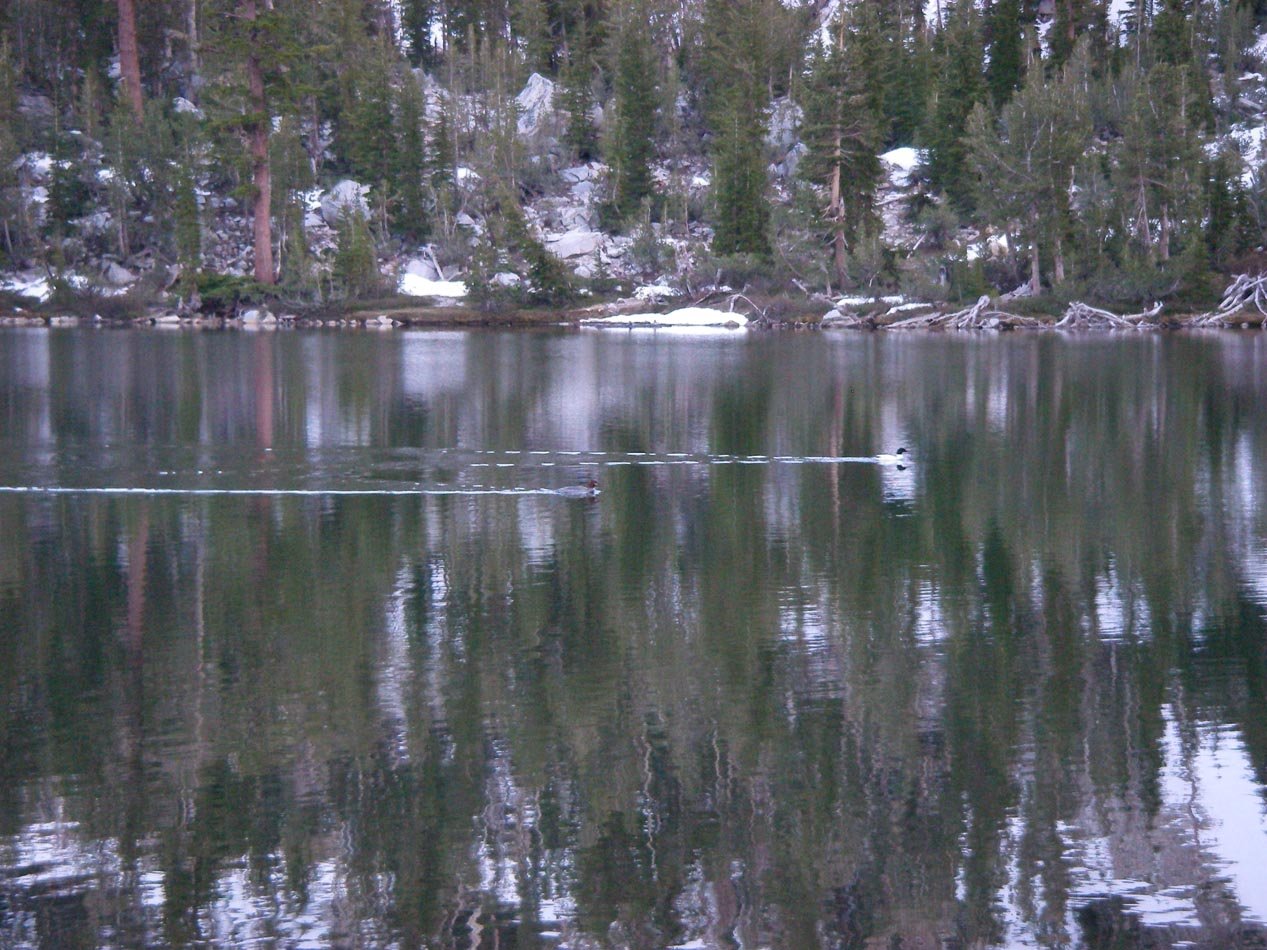 imgp7783.jpg