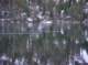 imgp7783_small.jpg