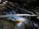 imgp7790_small.jpg