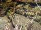 imgp7792_small.jpg