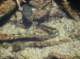 imgp7796_small.jpg