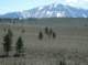 imgp7808_small.jpg