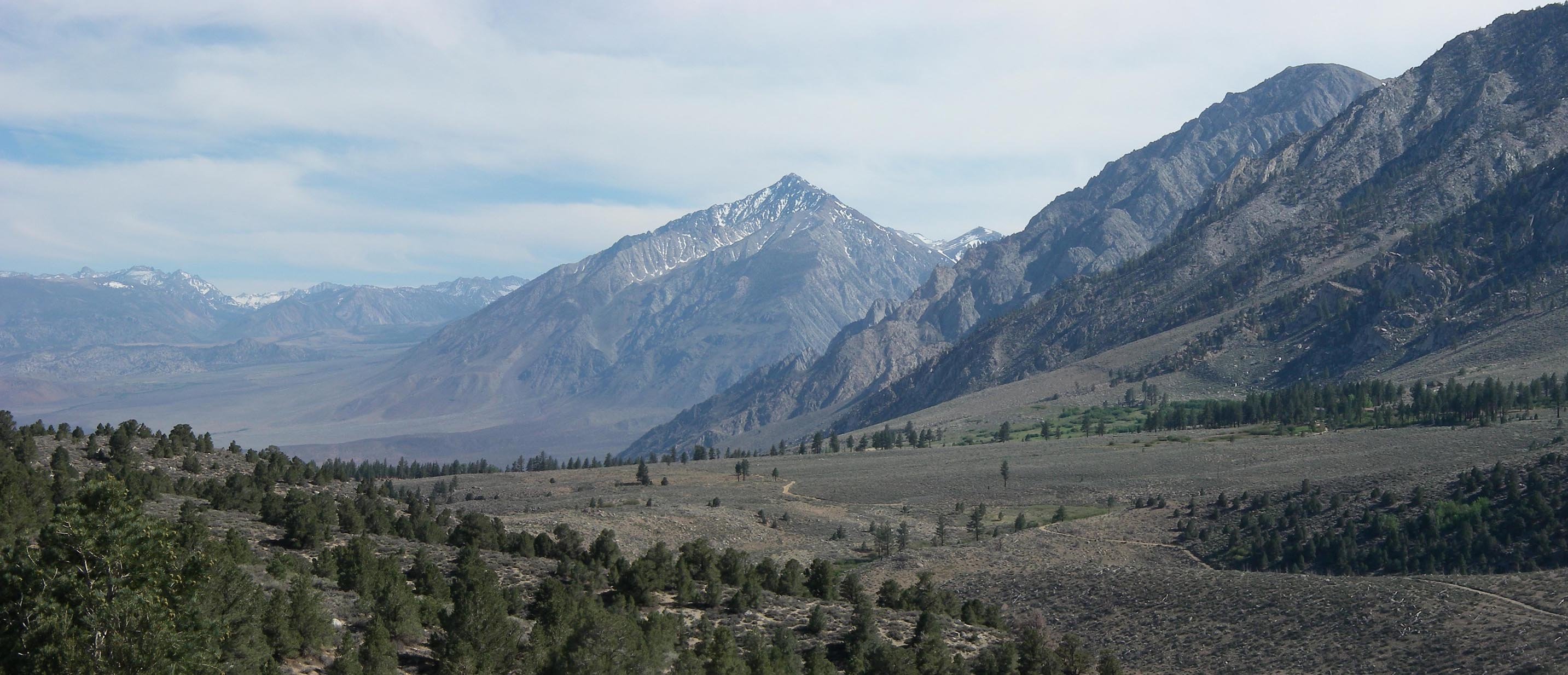 imgp7811m.jpg