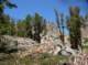 imgp7844_small.jpg