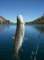 imgp7854_small.jpg