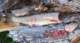 imgp7858_small.jpg