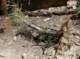 imgp7869_small.jpg