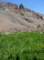 imgp7870_small.jpg