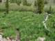 imgp7871_small.jpg