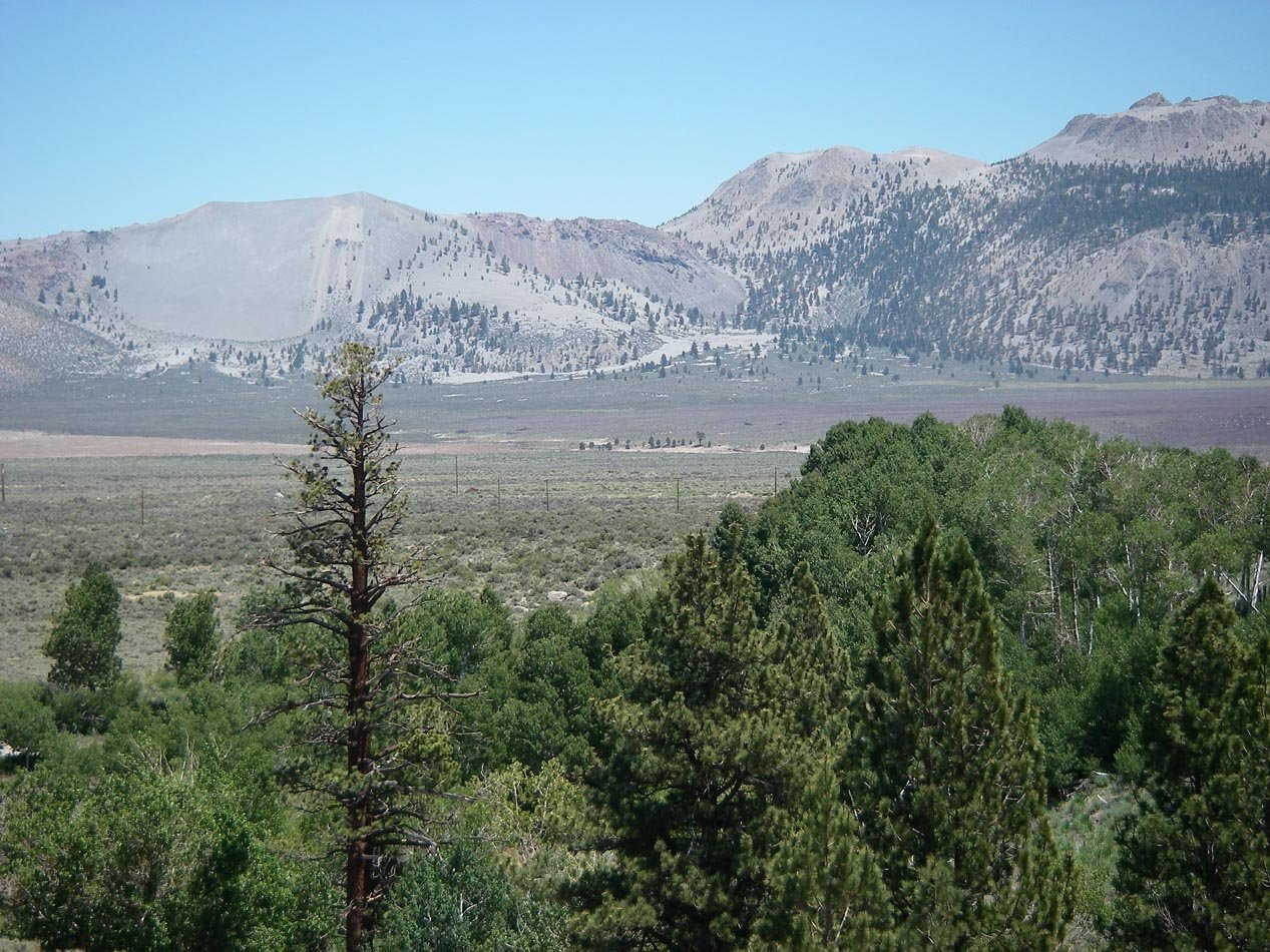 imgp7889.jpg
